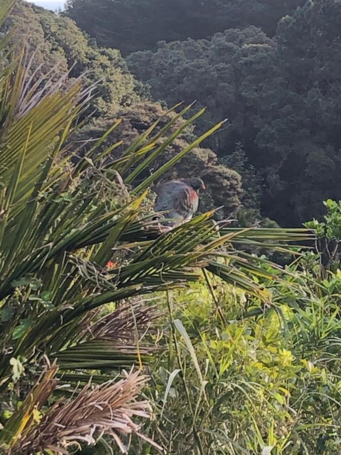 Muriwai Lodge Buitenkant foto